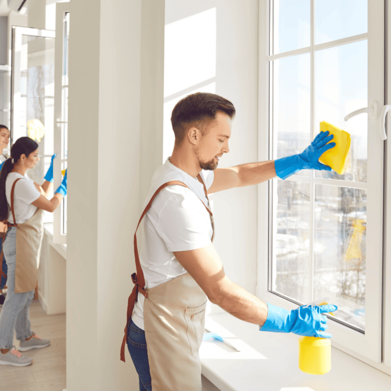 Window Cleaning Services 4 Window Cleaning Services | Bed Bug Texas Termite & Pest Control