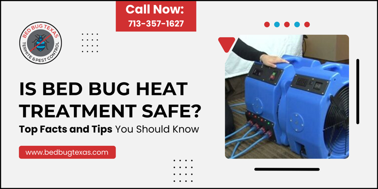 - Bed Bug Texas