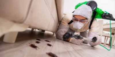 Pest control conroe