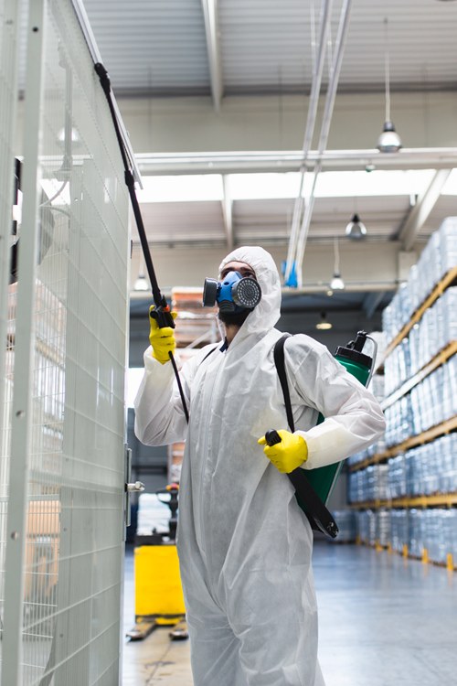 Tomball 4 Pest Control Treatments | Bed Bug Texas Termite & Pest Control