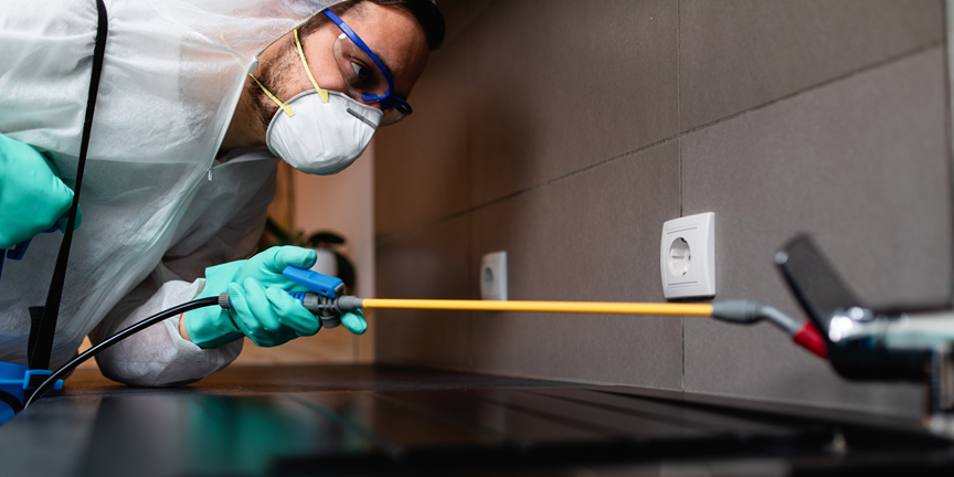 Tomball 3 Comprehensive Pest Control Solutions | Bed Bug Texas Termite & Pest Control