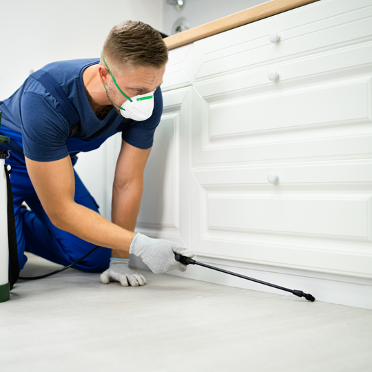 Conroe 4 Pest Control Treatments | Bed Bug Texas Termite & Pest Control