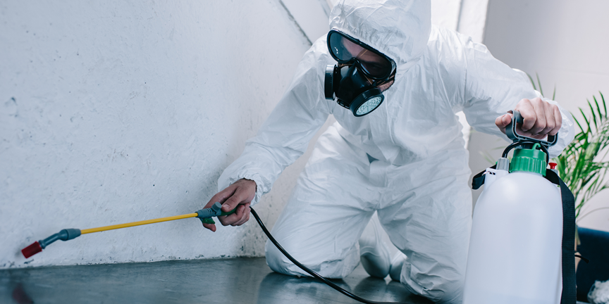 Magnolia 3 Pest Control Treatments | Bed Bug Texas Termite & Pest Control
