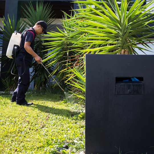 Woodlands 15 Pest Control Services | Bed Bug Texas Termite & Pest Control