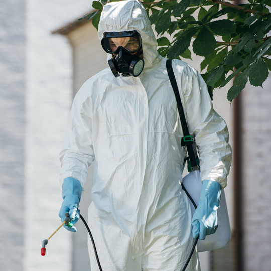 Woodlands 16 Termite Exterminator