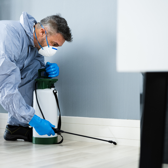 Woodlands 18 Pest Control Services | Bed Bug Texas Termite & Pest Control