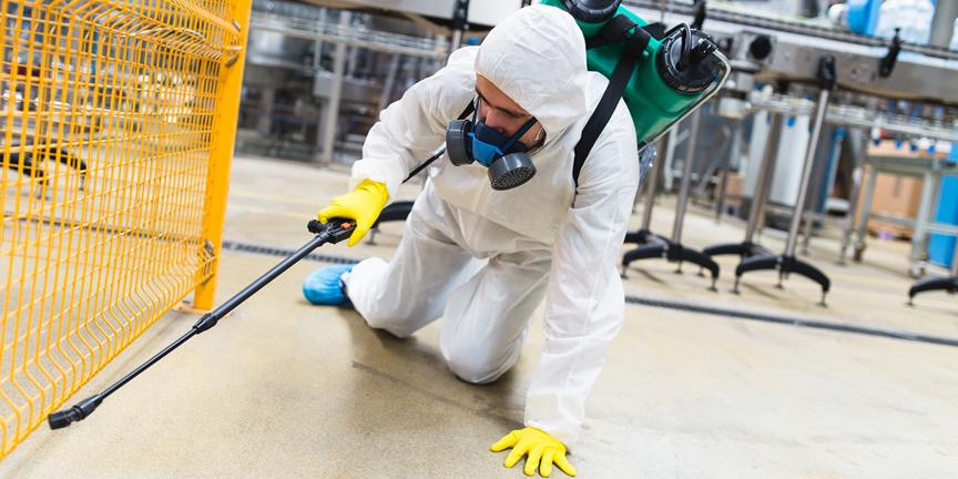Conroe 7 Pest Control Solution | Bed Bug Texas Termite & Pest Control