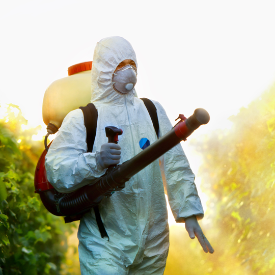 Conroe 11 Customized Solutions | Bed Bug Texas Termite & Pest Control