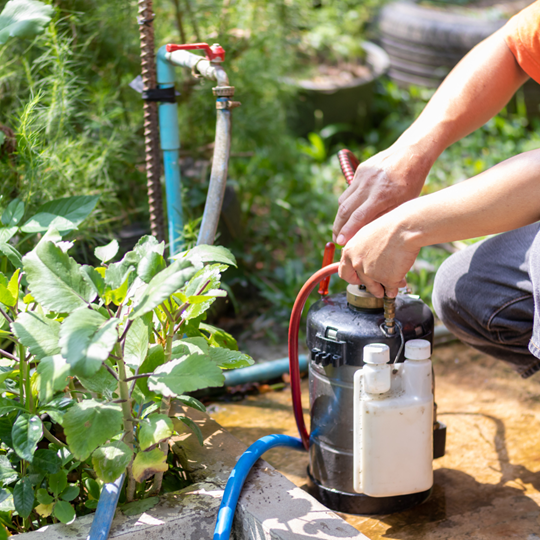 Conroe 12 Cutting Edge Technology | Bed Bug Texas Termite & Pest Control