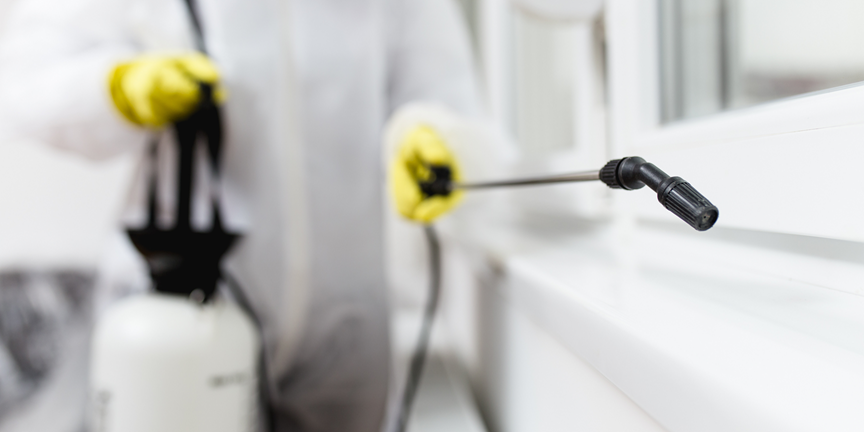 Willis 6 Pest Control Services | Bed Bug Texas Termite & Pest Control
