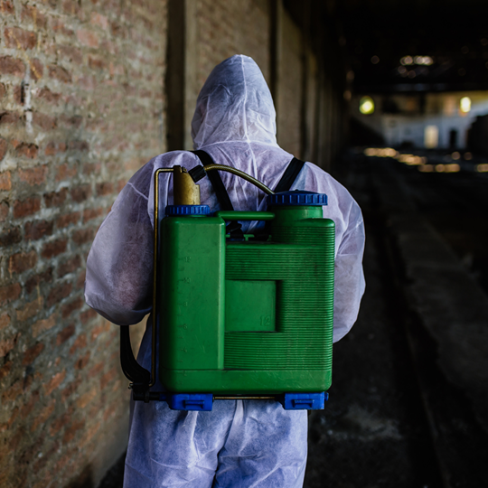Willis 8 Termite Exterminator