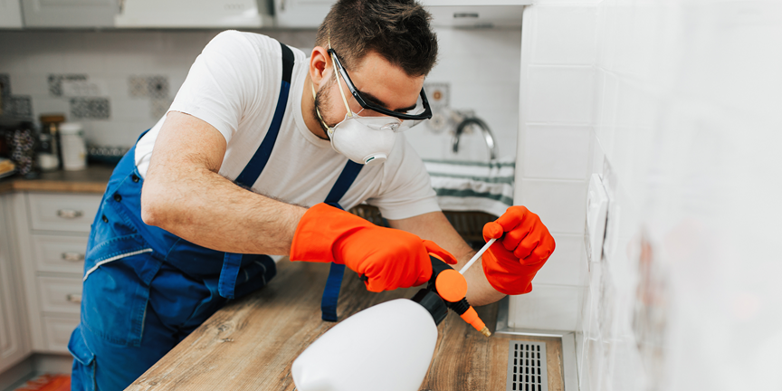 Willis 3 Termite Exterminator