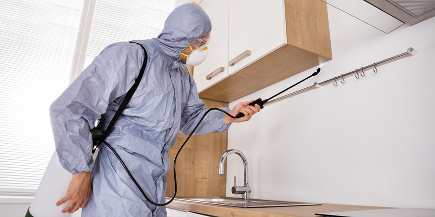 Montgomery 6 - Bed Bug Texas