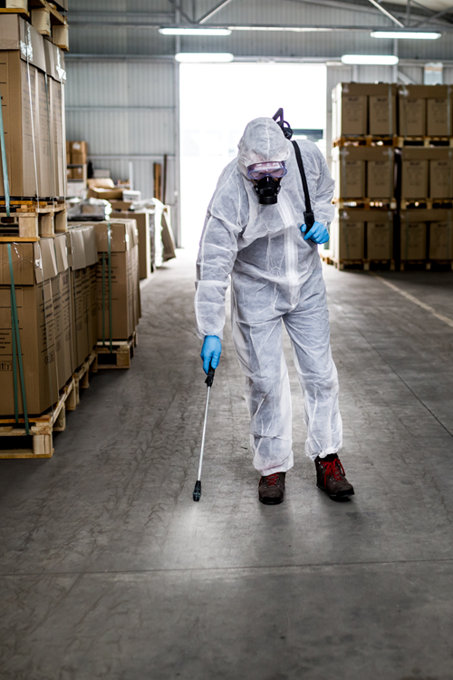 Montgomery 4 Pest Control Treatments | Bed Bug Texas Termite & Pest Control