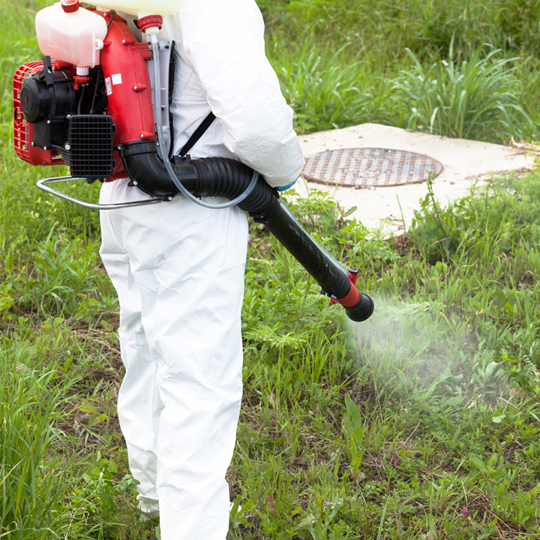 Montgomery 12 User Friendly Solutions | Bed Bug Texas Termite & Pest Control