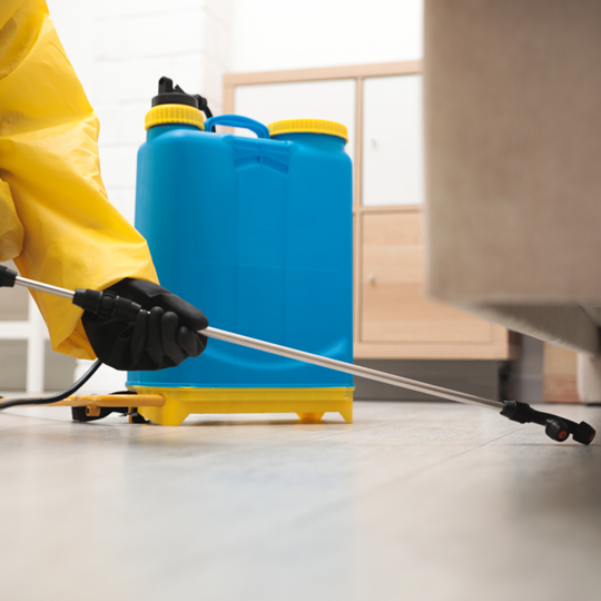 Montgomery 9 Pest Control Services Spring