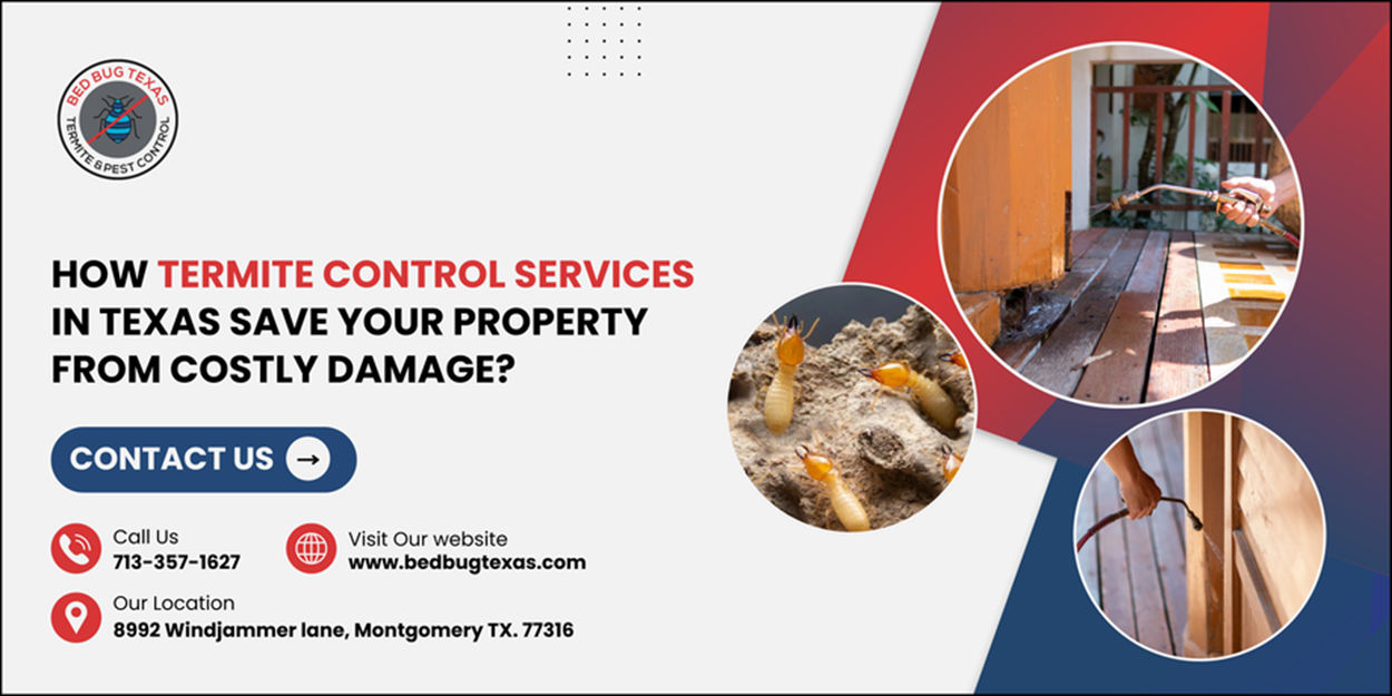 - Bed Bug Texas