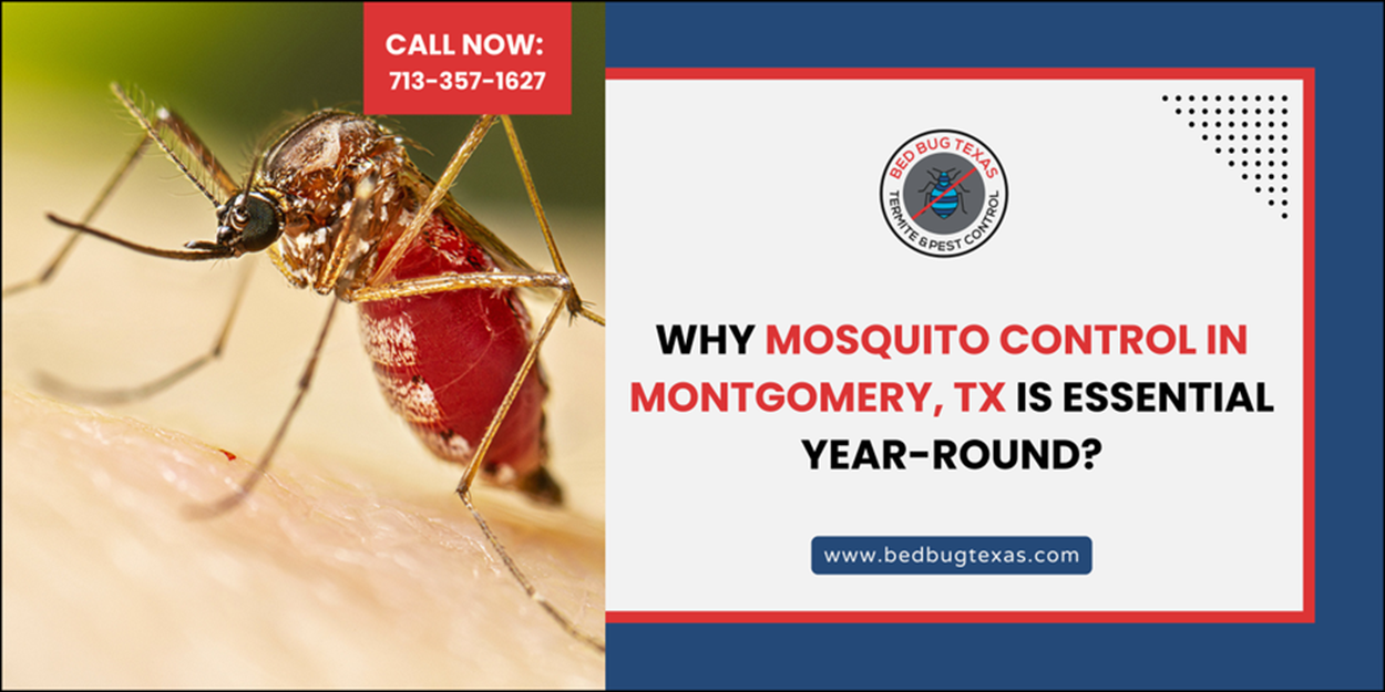 - Bed Bug Texas