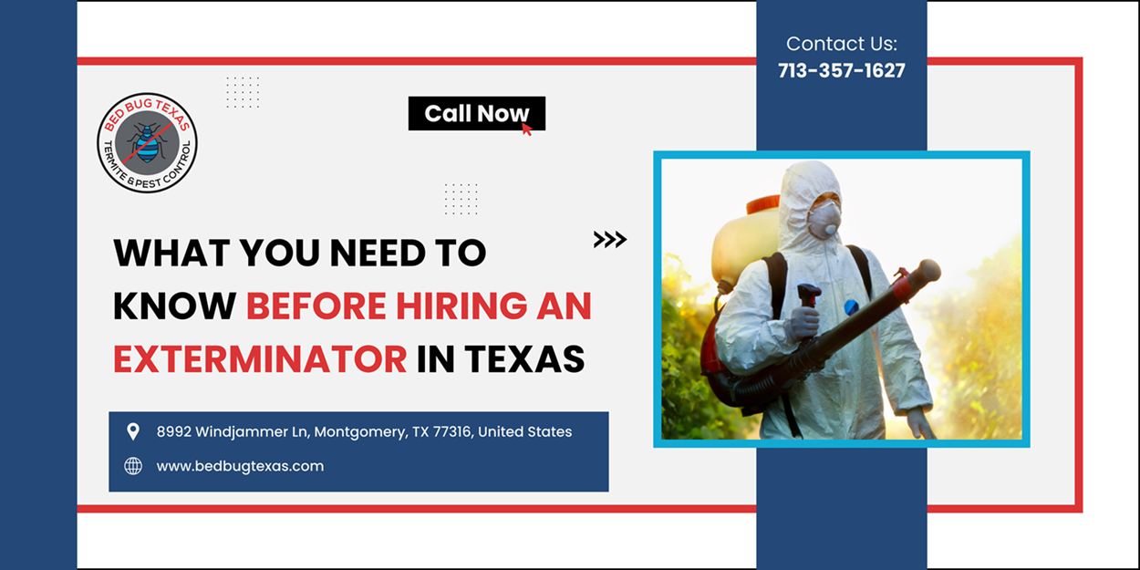 - Bed Bug Texas