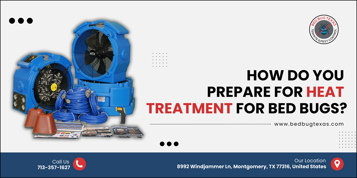 - Bed Bug Texas